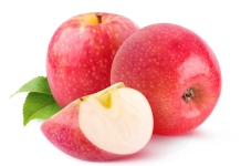 Apple Tree: How to Choose the Right Tree Variety for Your Garden